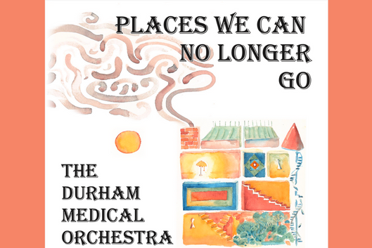Picture of a house with a forest in the basement. Text &amp;quot;Places we can no longer go, the Durham Medical Orchestra&amp;quot;
